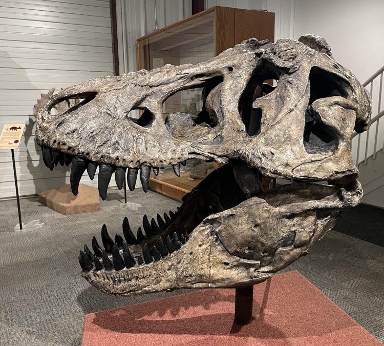 BYU Museum of Paleontology (Provo,&nbspUT)